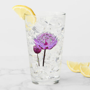 Verre Floral rose Astrantia