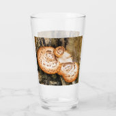 VERRE FUNGI (Dos)