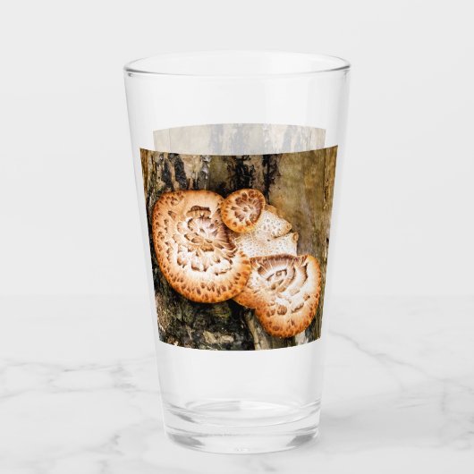 VERRE FUNGI (Devant)