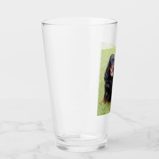 Verre gordon setter assis (Droite)