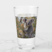 Verre Grevillea Koala Bear, (Dos)
