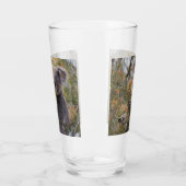 Verre Grevillea Koala Bear, (Gauche)