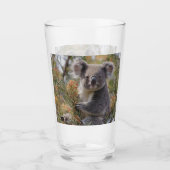 Verre Grevillea Koala Bear, (Devant)