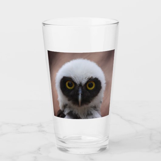 Verre Hibou à lunettes (Devant)