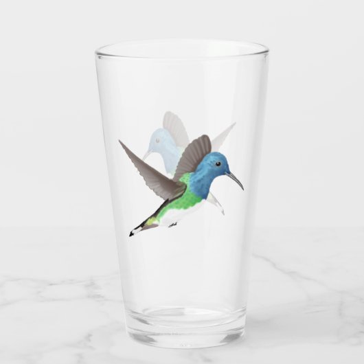 Verre Hovering Jacobin Hummingbird - transparent. (Dos)