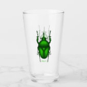 Verre Illustration de bug Mecynorhina torquata (Devant)