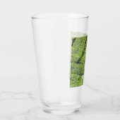 Verre jardins de thé de Munnar sur (Droite)