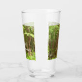 Verre Les séquoias au monument national de Muir Woods (Gauche)