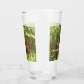 Verre Les séquoias au monument national de Muir Woods (Droite)