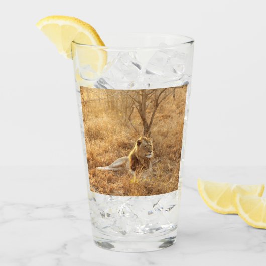 Verre Lion (Devant glace)