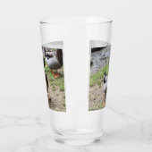 Verre M. Duck (Gauche)