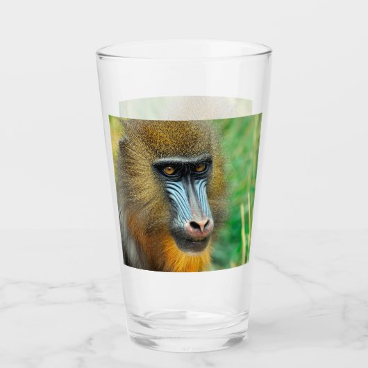 Verre Mandrill 002 (Devant)