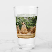 Verre Meerkat 008 (Dos)