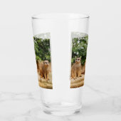 Verre Meerkat 008 (Gauche)