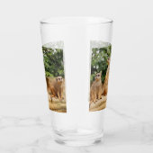 Verre Meerkat 008 (Droite)