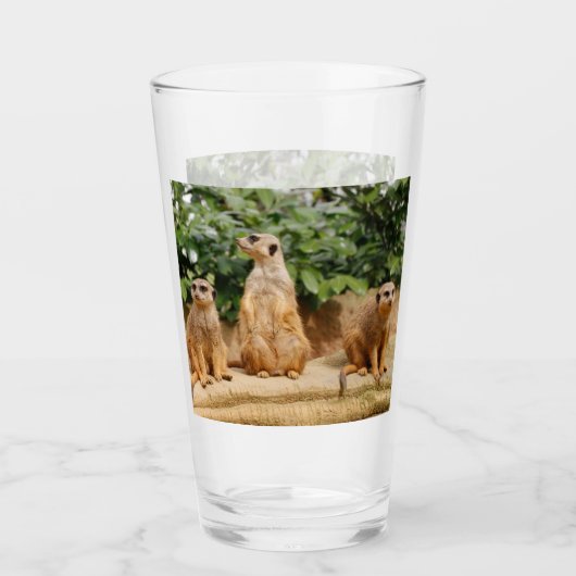 Verre Meerkat 008 (Devant)