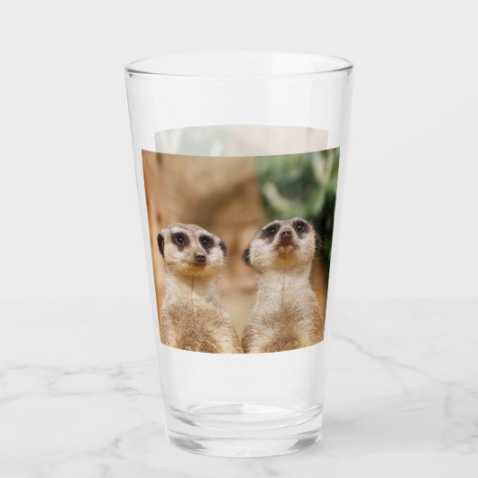 Verre Meerkat 017 (Dos)