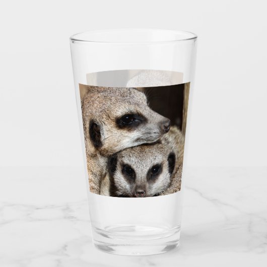 Verre Meerkat 019 (Devant)