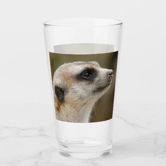 Verre Meerkat 028 (Devant)