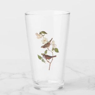 Verre Oiseaux Audubons à Bruant à Throses Blanches avec