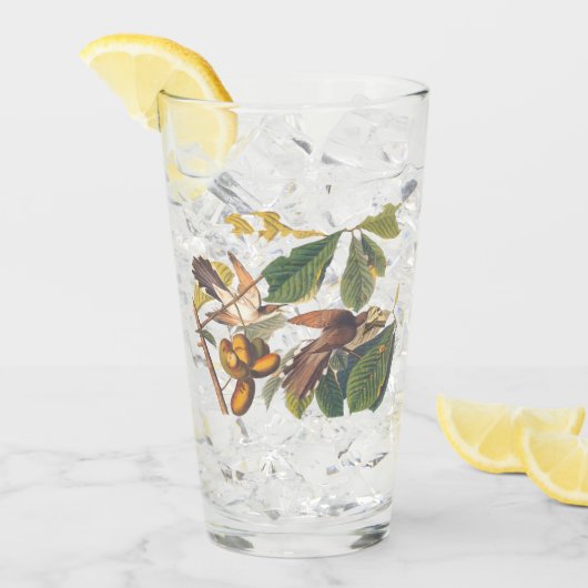 Verre Oiseaux de cacao à bec jaune Audubon dans un arbre (Devant glace)