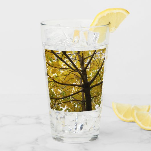 Verre Paire d'érables jaunes Nature d'automne (Dos glace)