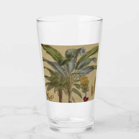 Verre Palm Antique Fruit Tropical Art Botanique (Devant)