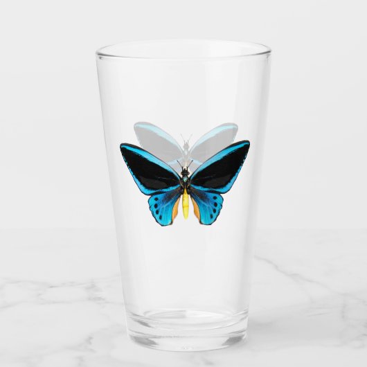 Verre Papillon Birdwing (Devant)