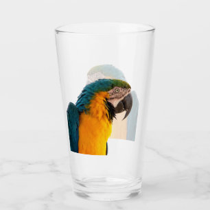 Verre Perroquet