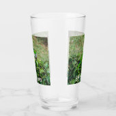 Verre Perroquet vert (Droite)