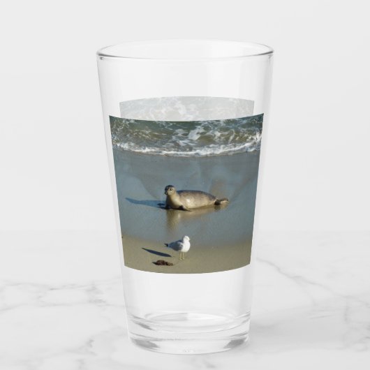 Verre Phoque du port à La Jolla en Californie (Devant)