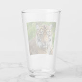 Verre Photo Big Cat Sumatran Tiger (Dos)