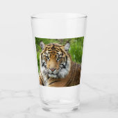Verre Photo Big Cat Sumatran Tiger (Devant)