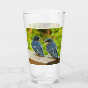 Verre Photographie de bébé hirondelles de cheminée dans