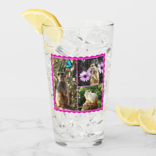 Verre Pink Lacy Meerkat Collarge, (Devant glace)