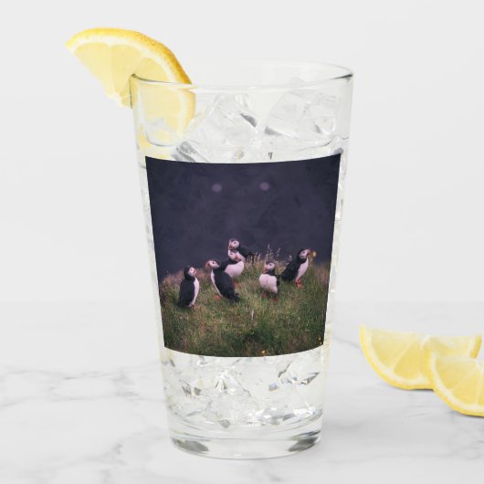 Verre Puffins de l'Atlantique (Devant glace)