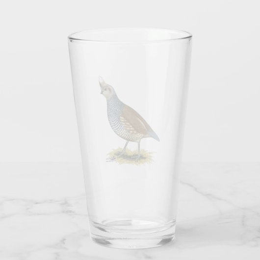 Verre Quail à échelle (Dos)
