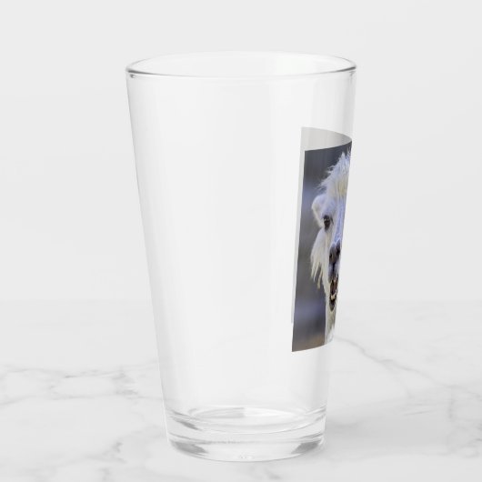 Verre Qu'est-ce que le Prob-Llama ? Lama drôle (Droite)
