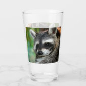 Verre Raccoon 001 (Dos)