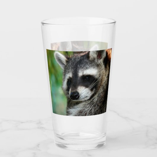 Verre Raccoon 001 (Devant)