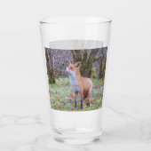 Verre Renard rouge levant les yeux (Dos)