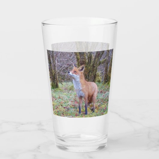 Verre Renard rouge levant les yeux (Dos)