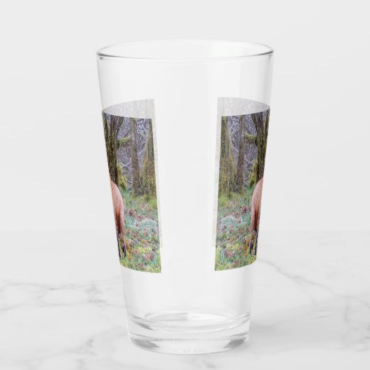 Verre Renard rouge levant les yeux (Droite)