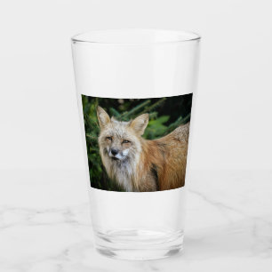 Verre Renard sauvage