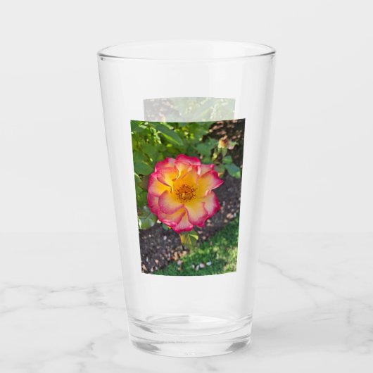 Verre Rose Jaune Rose (Devant)