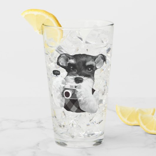 Verre Schnauzer avec caméra (Devant glace)