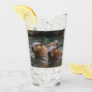 Verre "Sérénité de la rivière : Capybaras nage dans le f