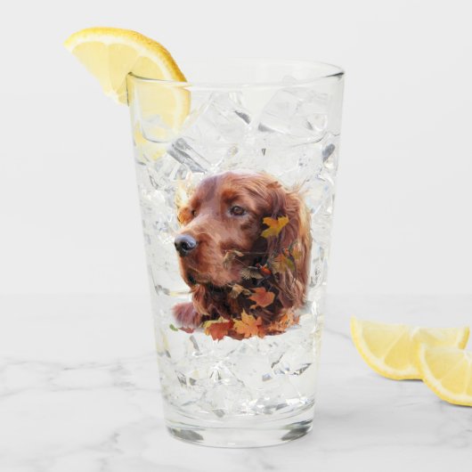 Verre Setter irlandais (Devant glace)