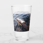 Verre Surfaçage commun des dauphins (Dos)