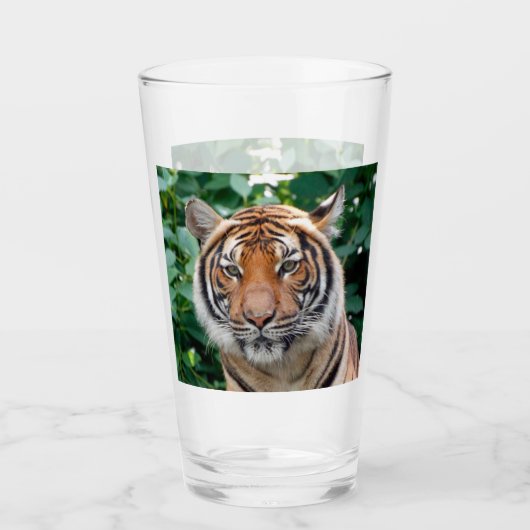 Verre Tigre 001 (Devant)